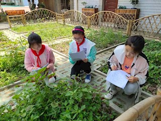 親近自然，體驗(yàn)農(nóng)耕，悅享農(nóng)趣