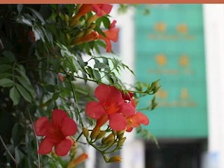 【凌霄新聞臺(tái)】開(kāi)學(xué)迎檢新起航 從“心”出發(fā)譜新篇